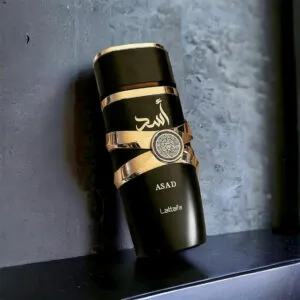 ASAD Elixir — view 4